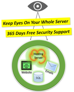 web yearly security features - 365 days support